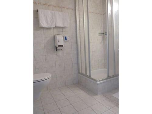 a bathroom with a shower and a toilet at Gentian Riding stable Alpine Appart in Umhausen
