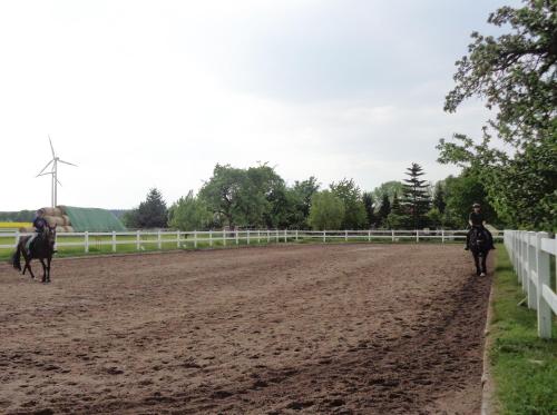 two people riding horses on a dirt track at Hotel Apartment Puell in Eimersleben