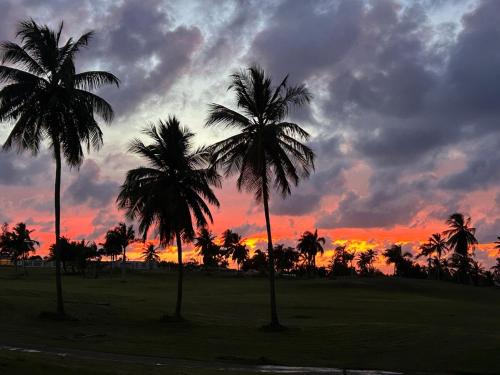 a group of palm trees in front of a sunset at Tropical Oasis! 5BR Luxe Home in Dorado