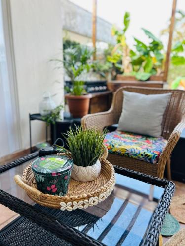 a living room with a table with plants on it at Tropical Oasis! 5BR Luxe Home in Dorado