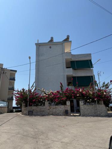 Fotografie z fotogalerie ubytování Michelle Apartments v destinaci Ksamil