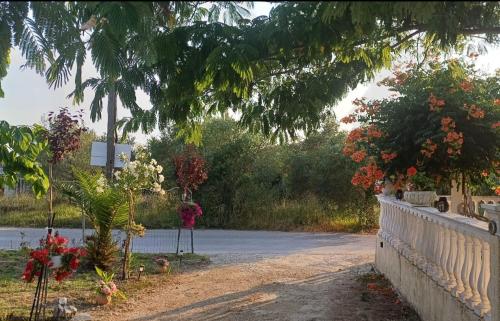 a road with a fence and flowers on it at Kalimera apartments in Marathias