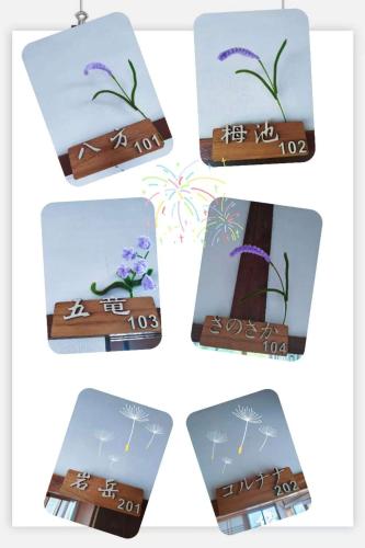 a box with four different pictures of a plant at 祥和之家 Serenity Home in Omachi