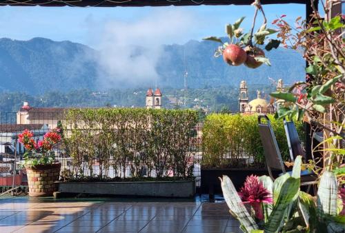 balcón con plantas y vistas a la ciudad en Hotel El Eden 2 pers 12, en Zacatlán