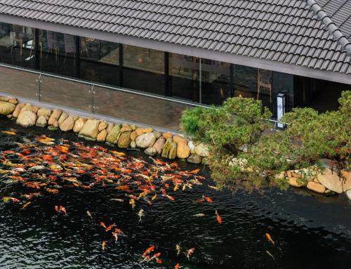 Zahrada ubytování Kobi Onsen Resort Hue, Affiliated by Melia
