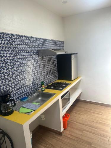 a kitchen with a counter with a sink and a microwave at The best view of the river apartments garden in Orizaba