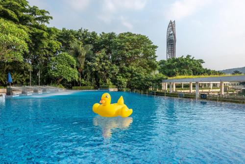 Bassein majutusasutuses Shenzhen Dameisha Kingkey Palace Hotel või selle lähedal