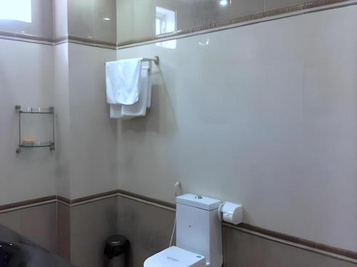 a bathroom with a white toilet and a mirror at BMC Ha Tinh hotel in Ha Tinh