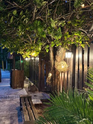 a park bench under a tree with lights on it at Hotel Naturaleza Bacalar- Gratis bicibletas in Bacalar