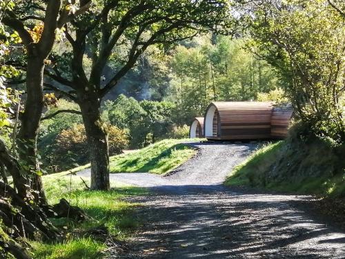 a gravel road with a wooden cabin on the side at Glampio Tryso Garth-Ukc5827 in Llangwm