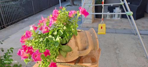 a potted plant with pink flowers in a basket at An&Gy house in Tursi
