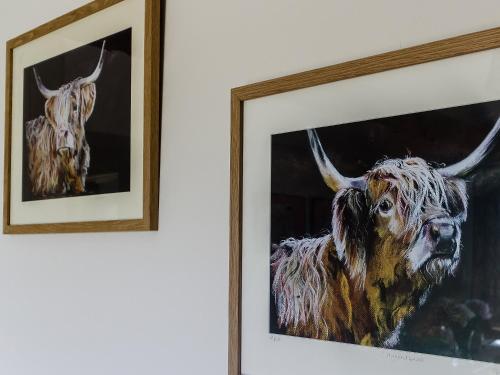 two framed pictures of a bull on a wall at The Bull Pen in Lawford