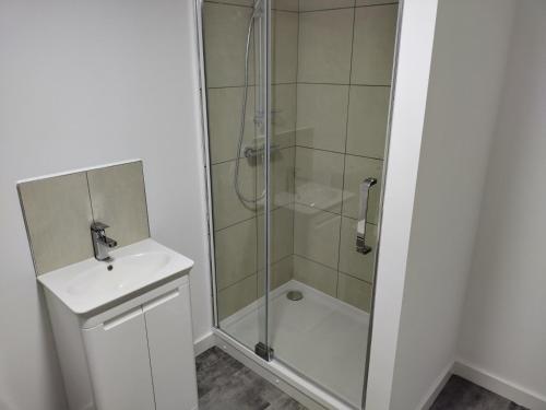a bathroom with a shower and a sink at Glasgow Hampden Garden Flat in Glasgow
