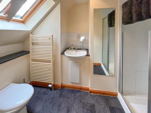 a bathroom with a toilet sink and a shower at River View in Dalwhinnie