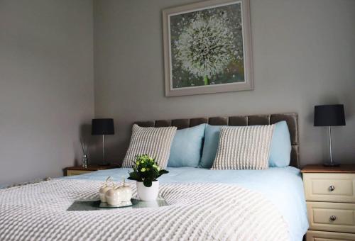 a bedroom with a white bed with two pillows at Last-Minute Escape l The Grey Door 2 Bed Cottage Banbridge Parking Private Garden l Nestled Property Management in Banbridge