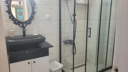a bathroom with a sink and a glass shower at Villa Selen in Bogazici