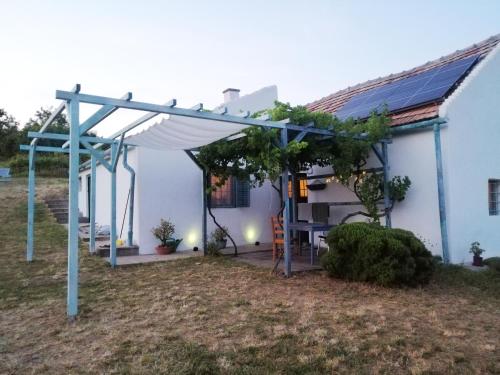 Κήπος έξω από το Köveshegy Guesthouse