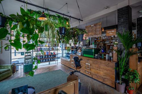 a room with plants and a counter in a store at Kelham 2 Bed Loft - Free Parking in Midland