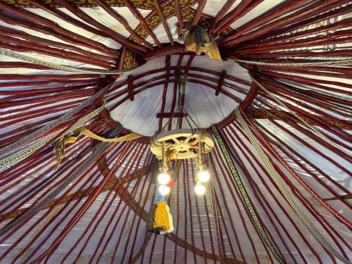Fotografie z fotogalerie ubytování Caravansarai campsite Кемпинг Караван-сарай v destinaci Kalīnīno