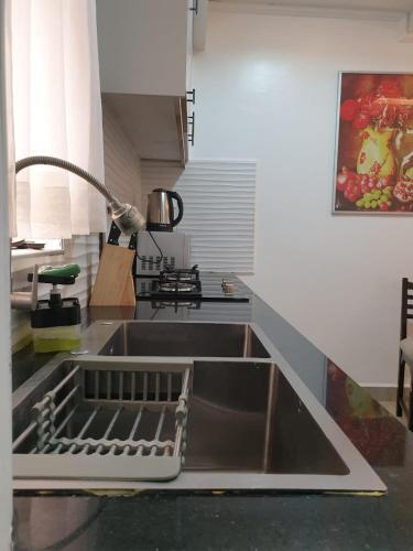 un évier de cuisine avec un robinet dessus dans l'établissement Blowsuites Furnished Apartment, à Lotus Island