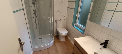Un baño con ducha, inodoro y lavabo. en Gîte de la Grand'Place d'Arras, en Arras