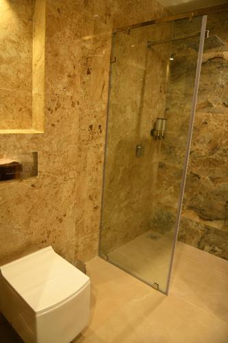 a bathroom with a shower and a white toilet at Hotel Blueivy Anand in Anand