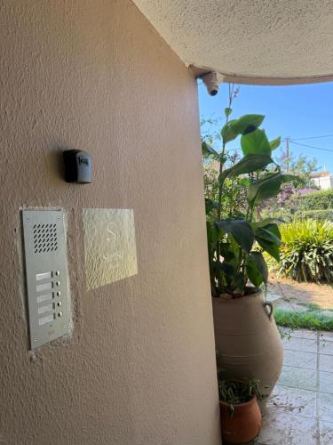 a wall with a speaker and a potted plant at StelSif Studio's in Atsipopoulo