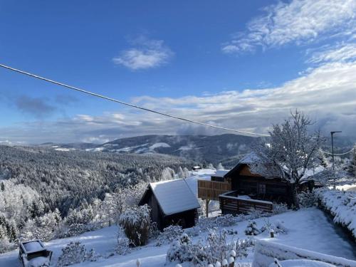 a cabin in the snow with a mountain at Andi s Berghütte Comfortable holiday residence in Kötschendorf