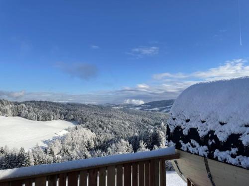 a snow covered deck with a view of a valley at Andi s Berghütte Comfortable holiday residence in Kötschendorf