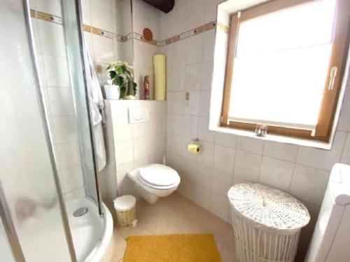 a bathroom with a toilet and a shower and a sink at Andi s Berghütte Comfortable holiday residence in Kötschendorf