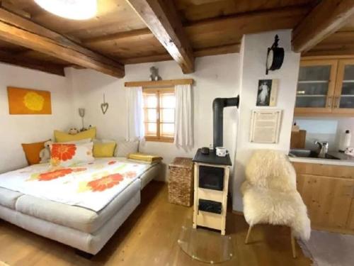 a bedroom with a bed and a stove at Andi s Berghütte Comfortable holiday residence in Kötschendorf