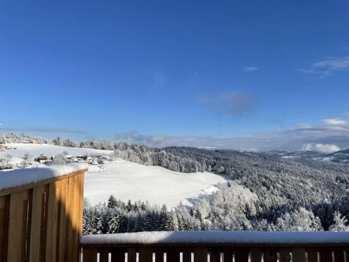 a view of a snow covered valley from a balcony at Andi s Berghütte Comfortable holiday residence in Kötschendorf