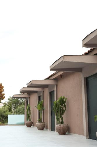 a building with three plants in front of it at Hotel Platinium Dhermi in Vlorë