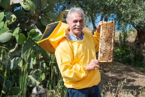 a man is holding up a frame of bees at Azienda Agrituristica Bergi in Castelbuono