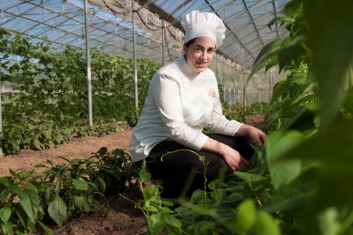 a chef kneeling in a greenhouse with plants at Azienda Agrituristica Bergi in Castelbuono