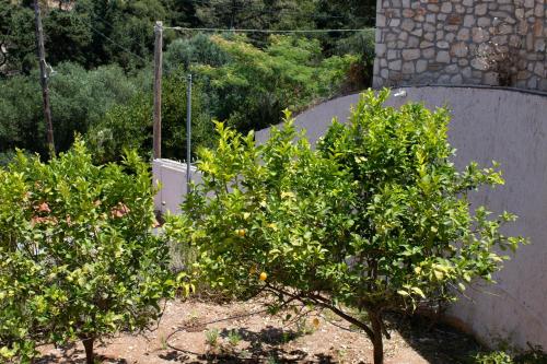 Zahrada ubytování Myrtos Cottages Kefalonia