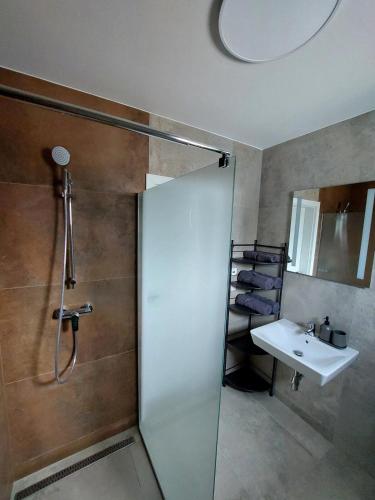 a bathroom with a shower and a sink at Chalet Víchová se saunou in Víchová nad Jizerou