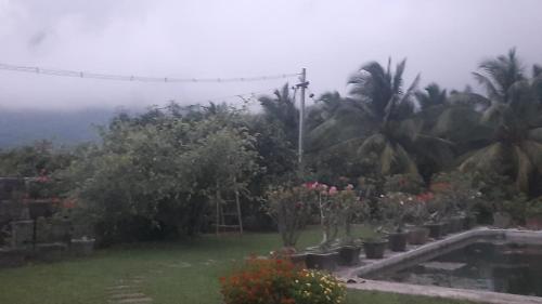 a garden with trees and flowers and a pool at Yes Yes Farms in Pollāchi
