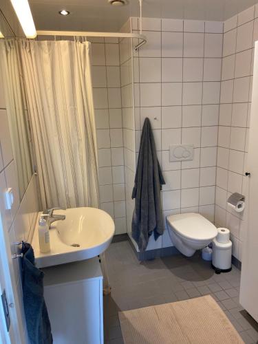 a bathroom with a sink and a toilet at Contemporary and Luxurious in Copenhagen