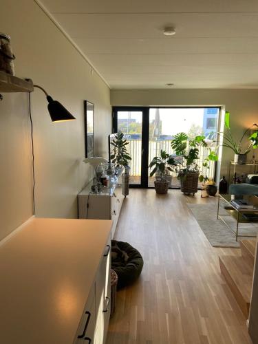 a kitchen with a counter and a living room with plants at Contemporary and Luxurious in Copenhagen