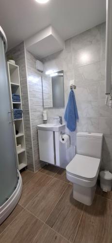a bathroom with a toilet and a sink at Studio Suha living in Škofja Loka