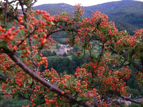 a tree with red berries on it with a castle in the background at MALPAS125 maison 6 chambres 10personnes in Accons