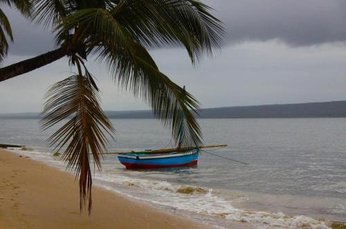 a boat in the water on a beach with a palm tree at Linga Bay Retreat in Morrumbene