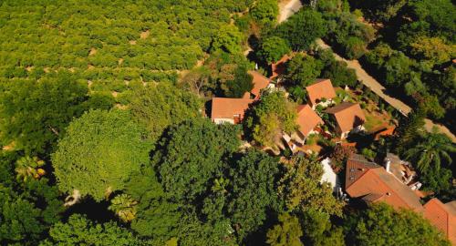 an aerial view of a house in a forest at Vitrage Holiday Village and Spa in Bet Hillel