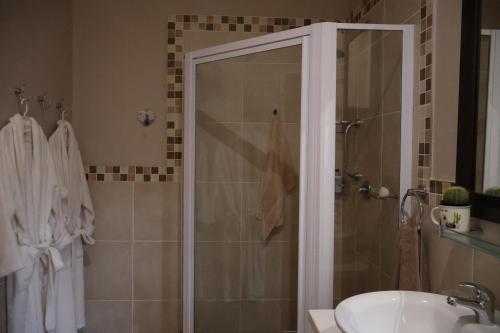 a bathroom with a shower and a sink at Aalkie's Dream in Swellendam