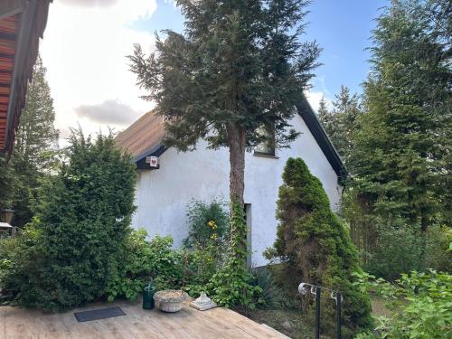 a house with a tree on the side of it at Ferienhaus Gisela in Fürstenberg-Havel