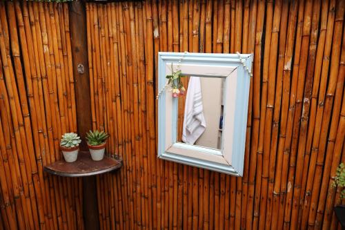 a mirror on the side of a wall with potted plants at Aalkie's Dream in Swellendam