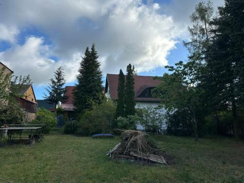 a yard with a pile of sticks in the grass at Ferienhaus Gisela in Fürstenberg-Havel