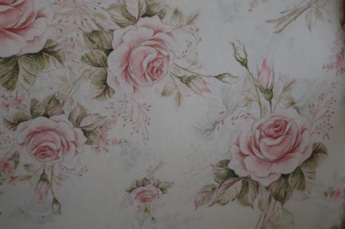a pattern of pink roses on a wall at Aalkie's Dream in Swellendam