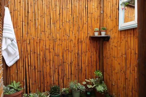 a fence with a bunch of potted plants on it at Aalkie's Dream in Swellendam